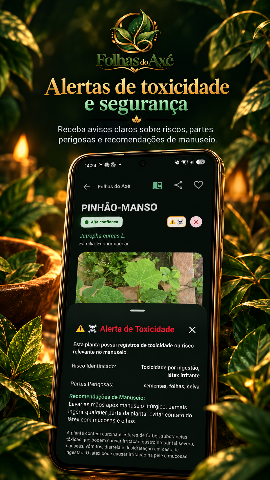 Apresentação dos avisos de toxicidade e segurança do aplicativo