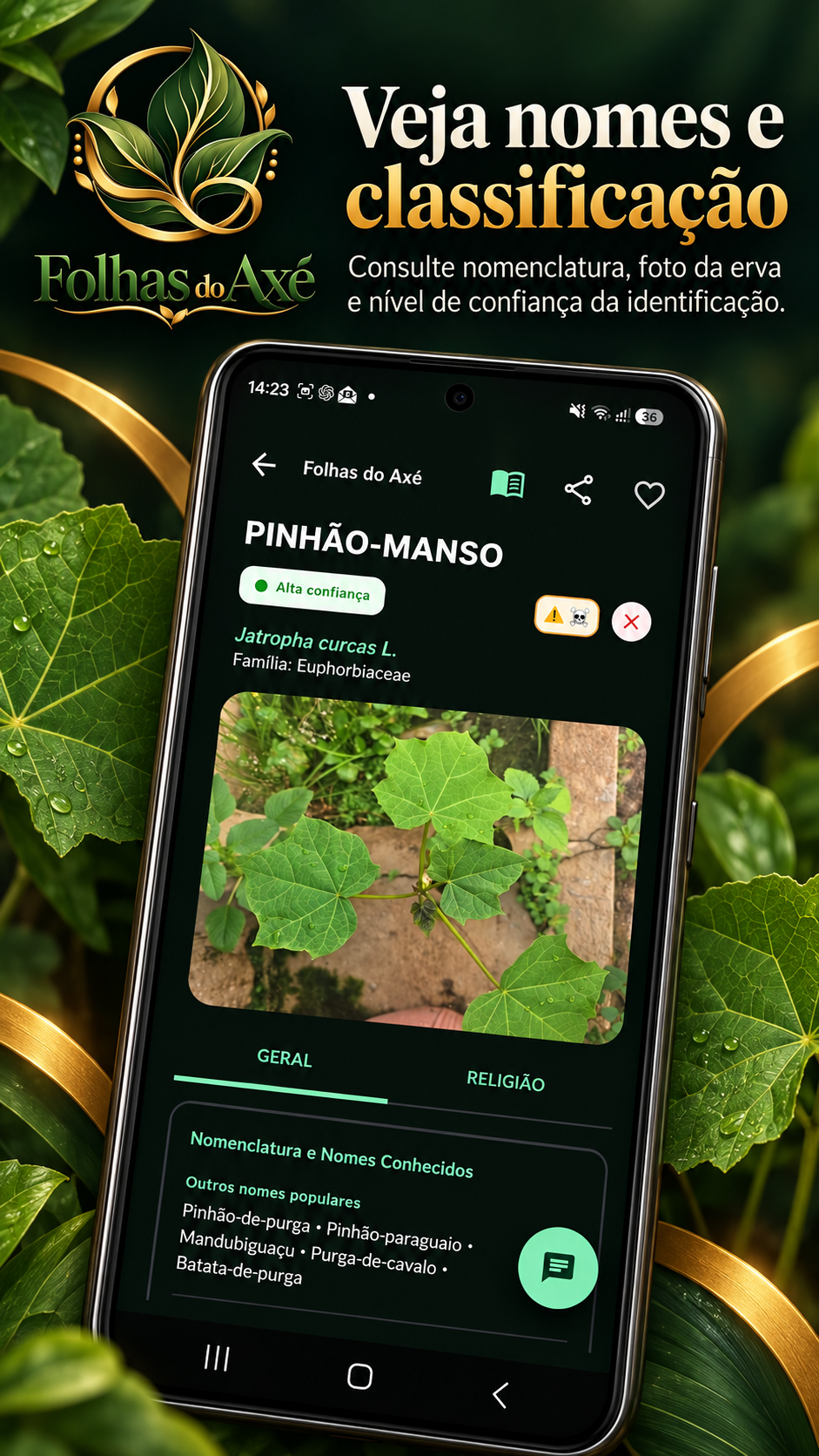 Arte de divulgação sobre nomenclatura e classificação de plantas
