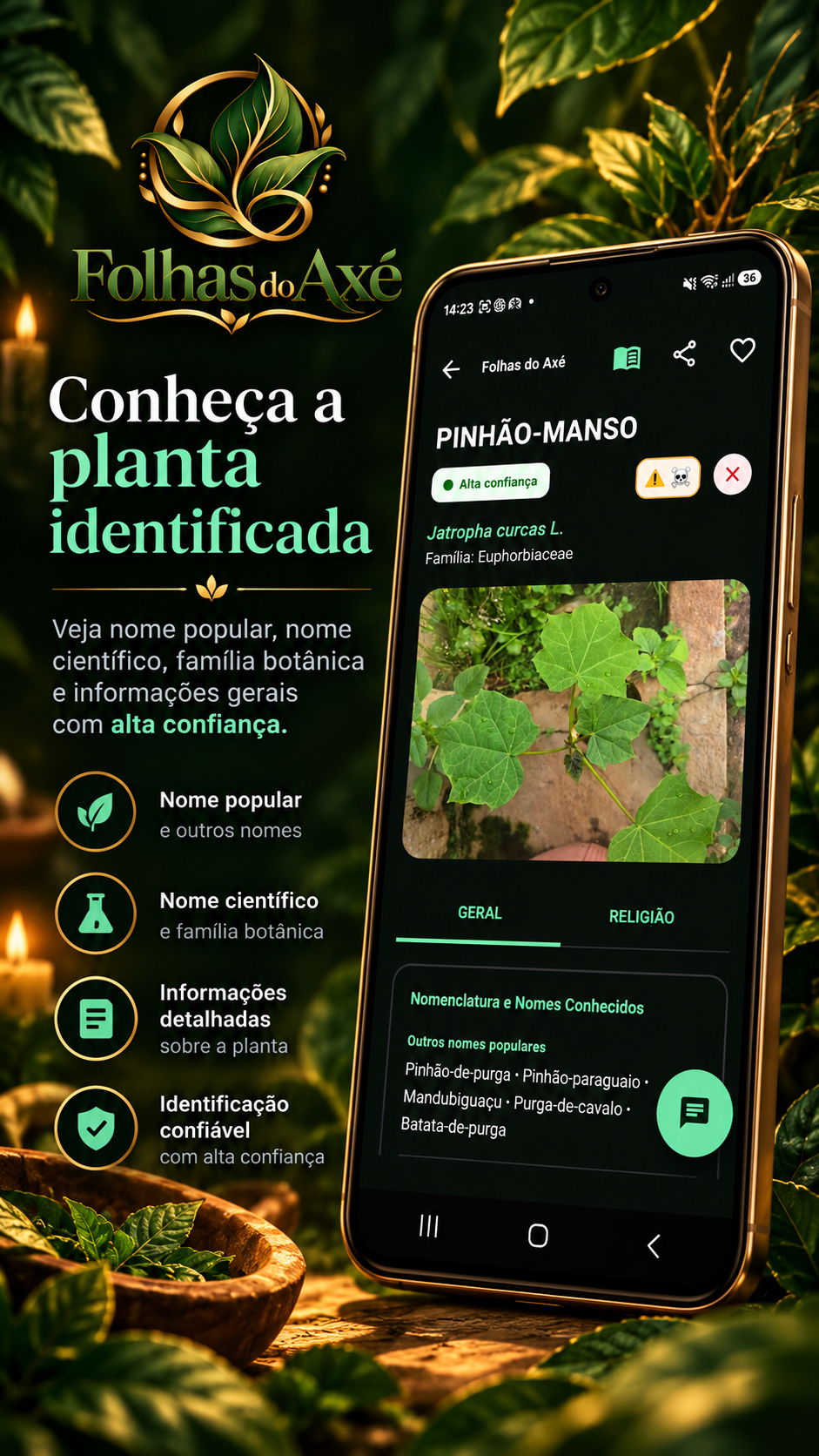 Exemplo de informações botânicas exibidas na consulta de uma planta