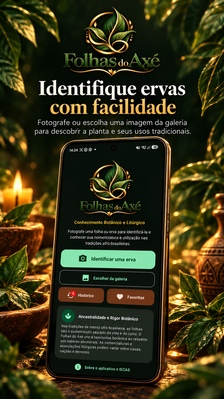 Apresentação do aplicativo para identificar ervas com facilidade