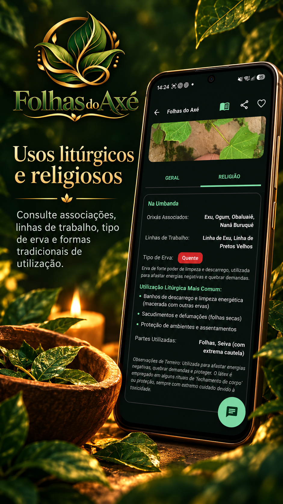 Tela do aplicativo com informações de usos litúrgicos e religiosos