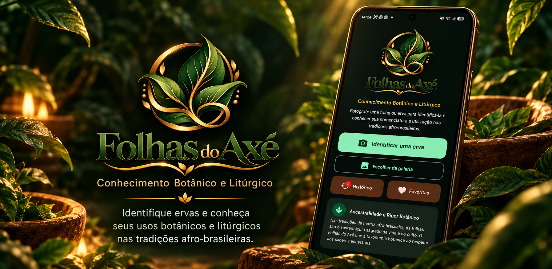 Apresentação visual do aplicativo Folhas do Axé em um celular, cercado por folhas e elementos dourados
