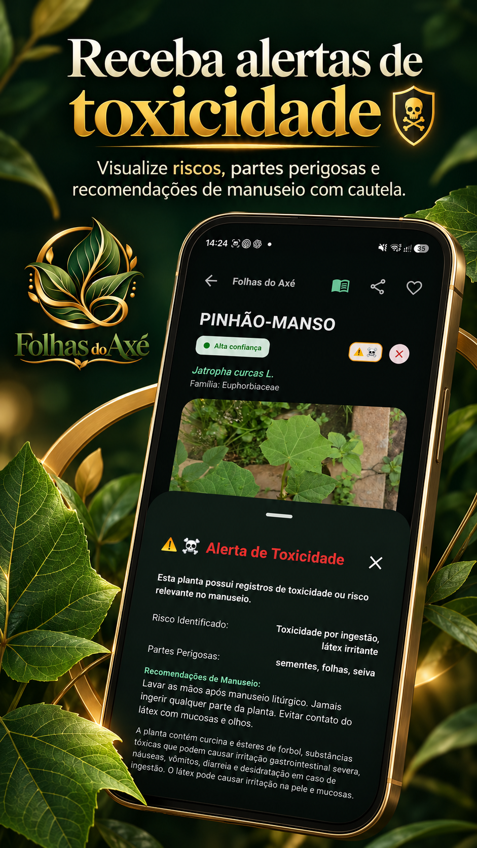 Arte de divulgação sobre alertas de toxicidade e cuidados no manuseio